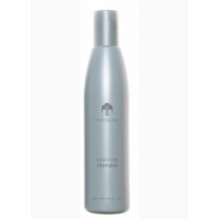 Шампунь-баланс Balancing Shampoo (250 мл)